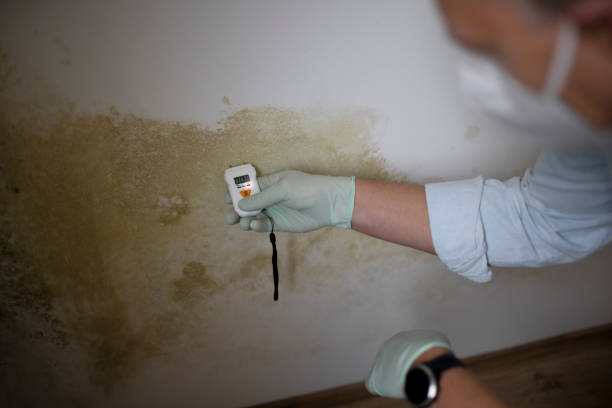Villanova, PA Mold Remediation Company